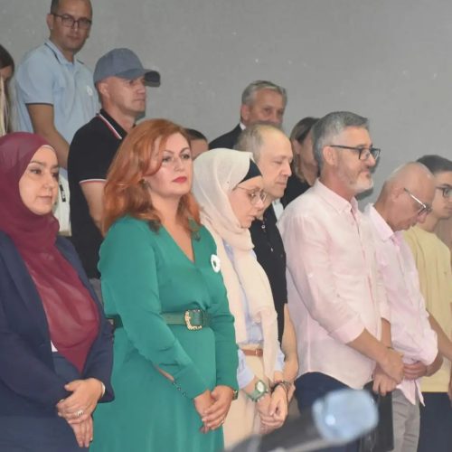 TZDN2i